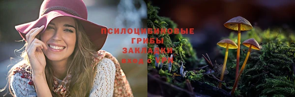 ГАЛЛЮЦИНОГЕННЫЕ ГРИБЫ Алексин