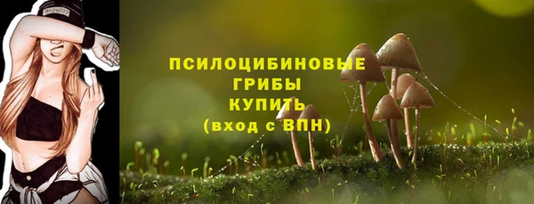 PSILOCYBIN Верхний Тагил