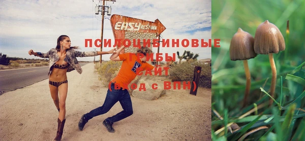 эйфоретик Новокубанск